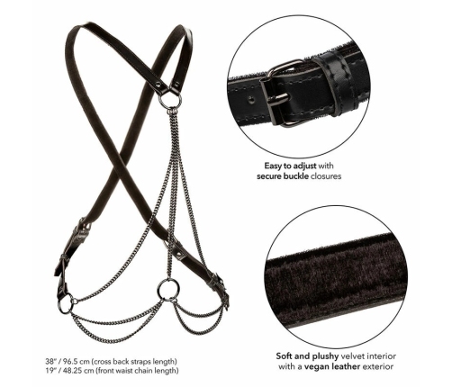 CalExotics Euphoria Multi-Chain Premium Harness Plus Size Black Velvet