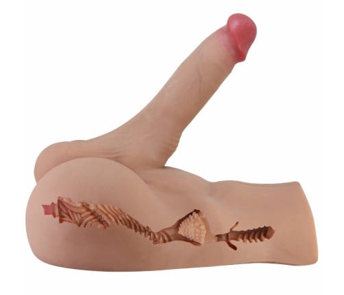 CRAZY BULL Rhyne Back Anatomical Model Bendable TPE Large Size