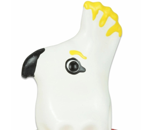 CONDOMERIE - HANDPAINTED NOVELTY CONDOMS PARROT WHITE