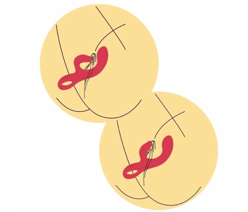 Xocoon Endless Orgasm G-Spot Vibrator Fuchsia, Dual Motor, Waterproof