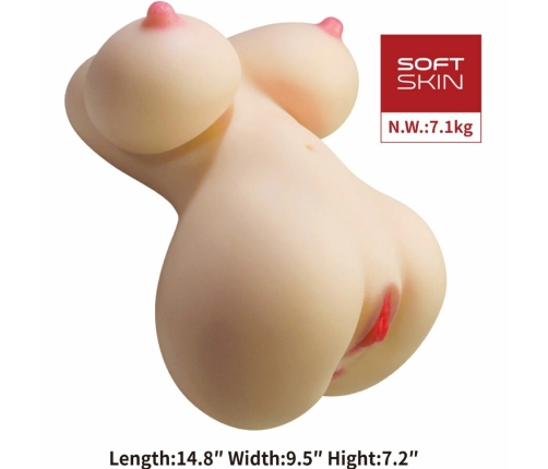 CRAZY BULL Fiona Anatomical Torso Model, Dual Entry, 7.1 kg, TPR SkinTech