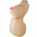 CRAZY BULL Fiona Anatomical Torso Model, Dual Entry, 7.1 kg, TPR SkinTech