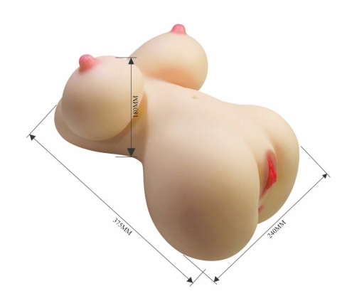 CRAZY BULL Fiona Anatomical Torso Model, Dual Entry, 7.1 kg, TPR SkinTech