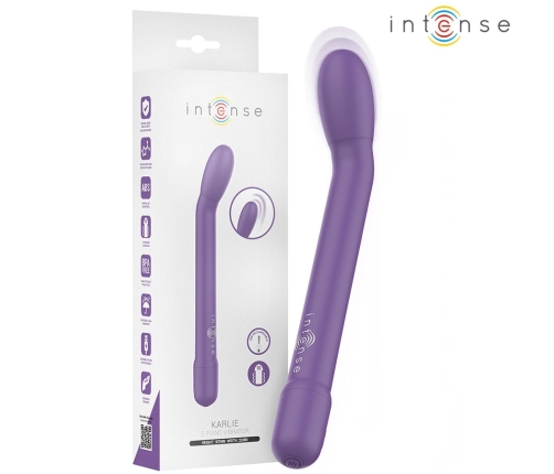 INTENSE FUN G-Spot Vibrator Model 9173, USB, Deep Purple, 19cm