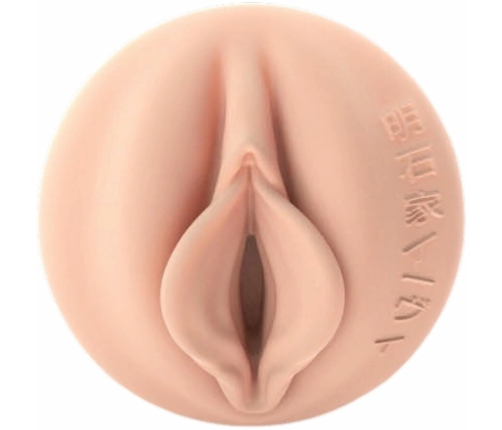 Fleshlight Fantasy Evie Akashiya Intimate Machine Fleshtone 25cm Red Case