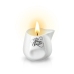 Plaisirs Secrets - Massage Candle Vanilla