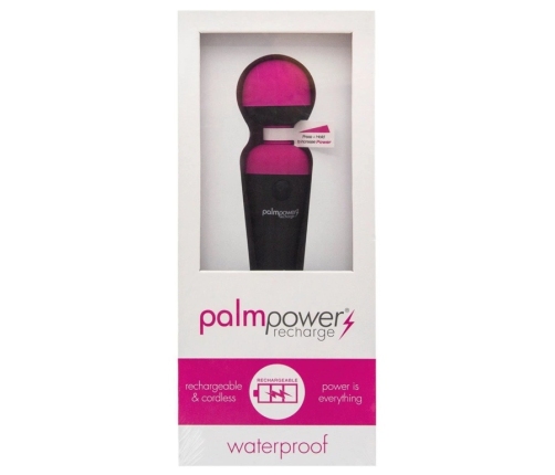 PalmPower - Recharge Wand Massager