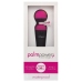 PalmPower - Recharge Wand Massager