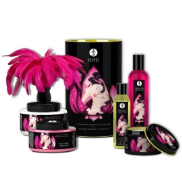 Shunga Touch of Romance Gift Set - Massage Oil, Chocolate Paint, Gel