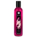 Shunga Touch of Romance Gift Set - Massage Oil, Chocolate Paint, Gel