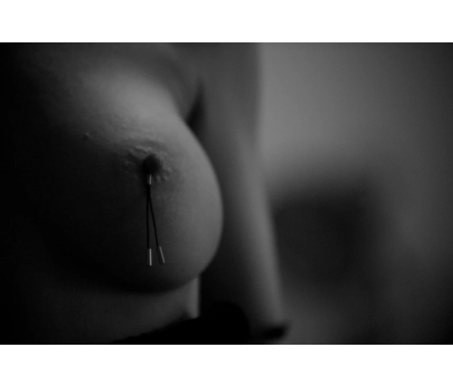 Crave - Leather Nipple Tassels