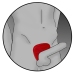 ElectraStim - Silicone Fusion Viper