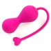 OhMiBod Lovelife Krush Pink - Smart Kegel Training System, USB, App Control
