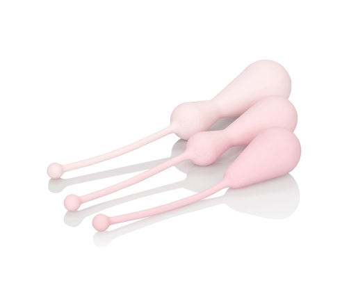CalExotics Inspire Silicone Weighted Kegel Training Kit Pink 3-Piece