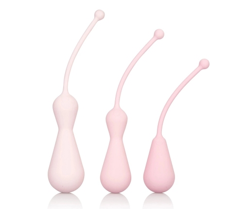CalExotics Inspire Silicone Weighted Kegel Training Kit Pink 3-Piece