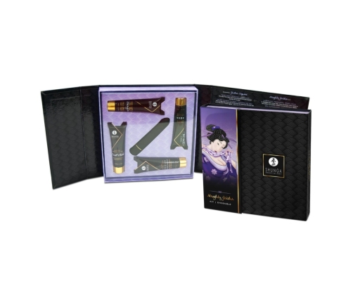 Shunga - Naughty Geisha Kit