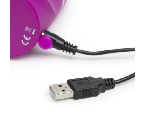 Happy Rabbit - Curve Purple