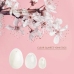 La Gemmes - Yoni Egg Set Clear Quartz
