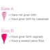 Intimina Lily Cup B - High-Capacity Anatomical Menstrual Cup, Pink