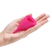 Intimina Lily Cup B - High-Capacity Anatomical Menstrual Cup, Pink