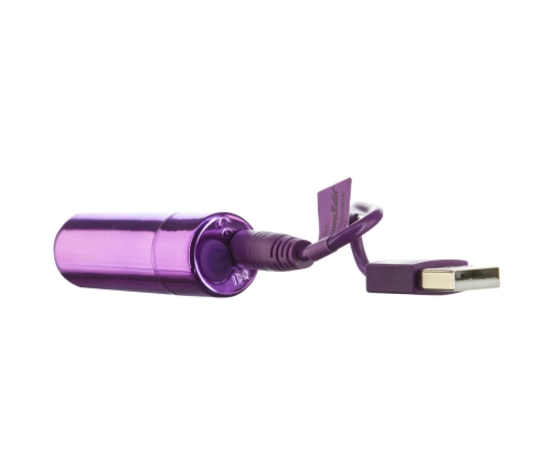 PowerBullet Mini Vibrating Massager 9 Modes USB Rechargeable Purple