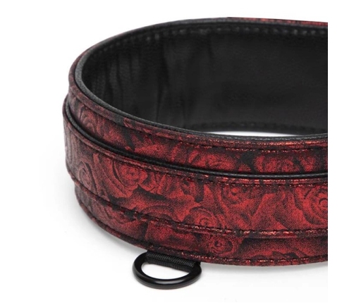 Fifty Shades of Grey - Sweet Anticipation Collar & Leash
