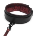 Fifty Shades of Grey - Sweet Anticipation Collar & Leash