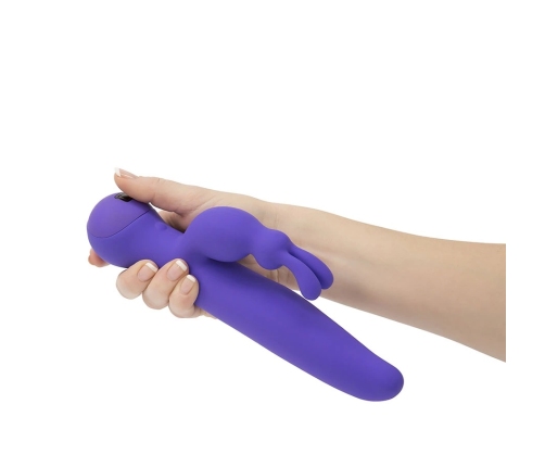Swan - Duo Rabbit Purple