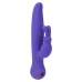 Swan - Duo Rabbit Purple