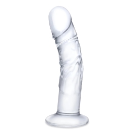 Glas Curved Glass Model with Vein Details 18cm - Transparent, Anatomical Shape