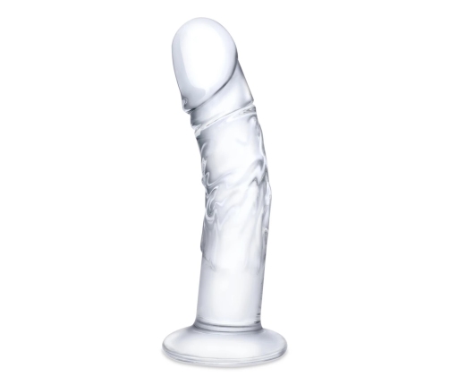 Glas Curved Glass Model with Vein Details 18cm - Transparent, Anatomical Shape