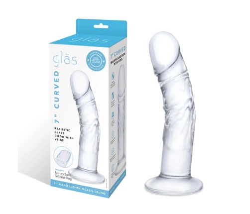 Glas Curved Glass Model with Vein Details 18cm - Transparent, Anatomical Shape