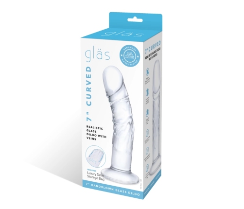 Glas Curved Glass Model with Vein Details 18cm - Transparent, Anatomical Shape