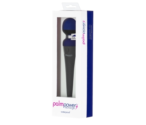 PalmPower - Recharge Wand Massager Blue