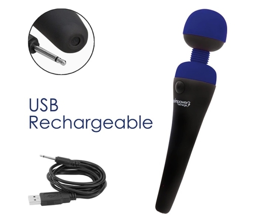 PalmPower - Recharge Wand Massager Blue