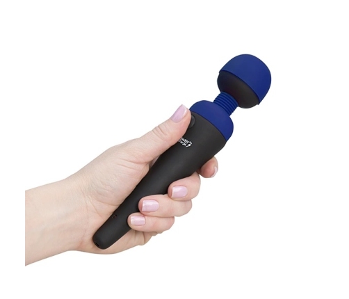 PalmPower - Recharge Wand Massager Blue
