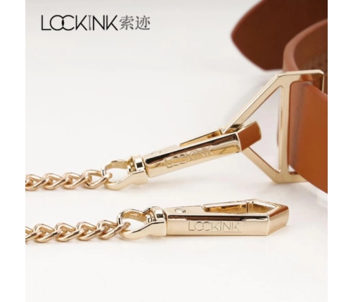 LOCKINK - Collar with Leash Set - brown