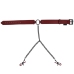 Sportsheets - Saffron Collar with Nipple Clamps