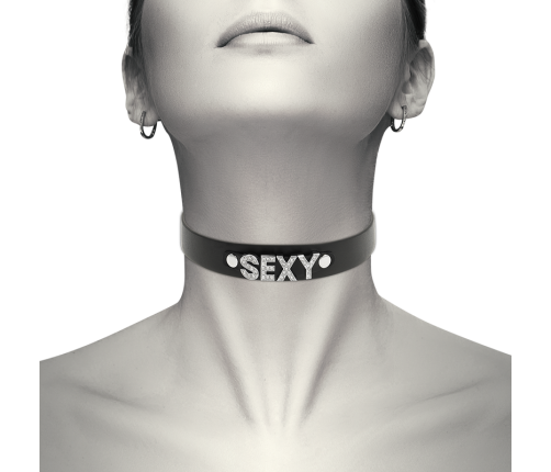 COQUETTE CHIC DESIRE - SEXY VEGAN LEATHER CHOKER