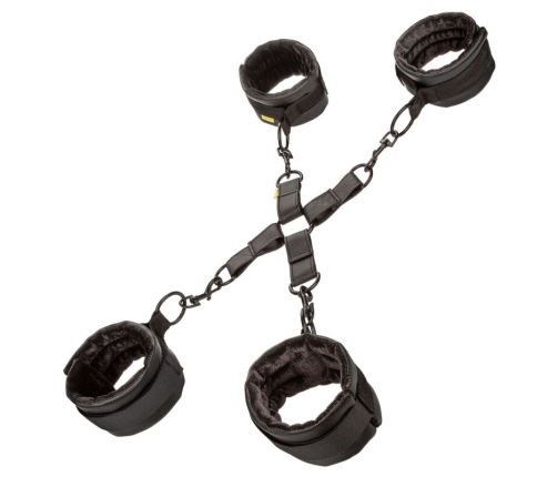 CALEXOTICS - BOUNDLESS HOG TIE