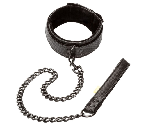 CALEXOTICS - BOUNDLESS COLLAR CON CORREA