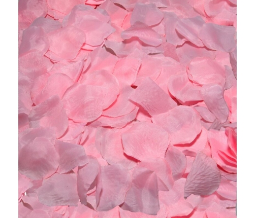 DIABLO PICANTE - 100 PINK PETALS