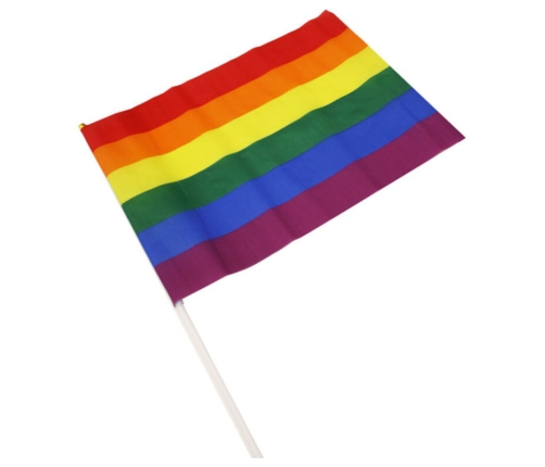 PRIDE - LGBT FLAG LARGE PENNANT