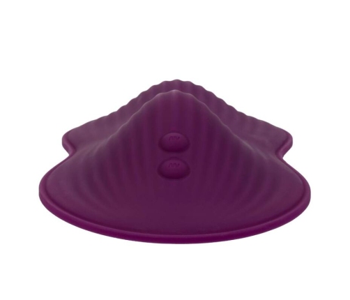 CALEXOTICS - REMOTE CONTROL DUAL RIDER