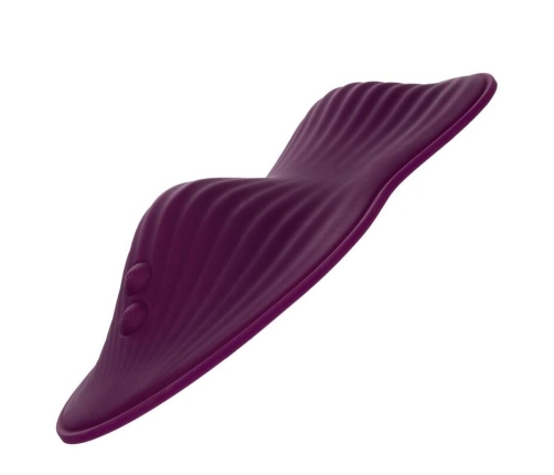 CALEXOTICS - REMOTE CONTROL DUAL RIDER