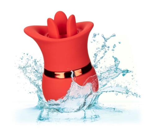 CALEXOTICS - FRENCH KISS SUCK & PLAY SET