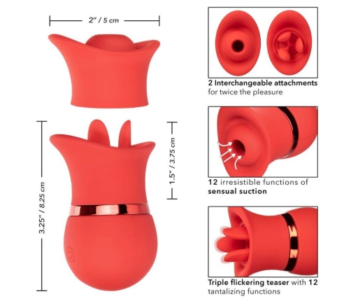 CALEXOTICS - FRENCH KISS SUCK & PLAY SET