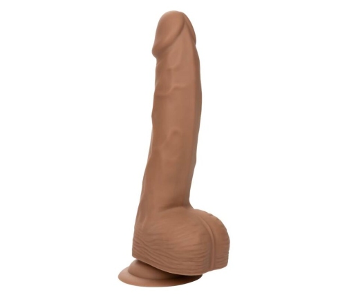 CALEXOTICS - SILICONE STUDS 20.32 CM BROWN