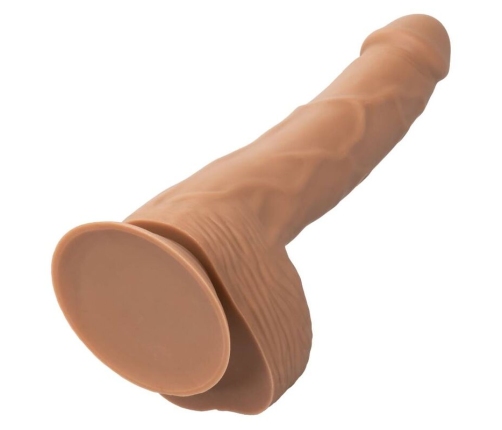 CALEXOTICS - SILICONE STUDS 20.32 CM BROWN