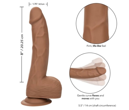 CALEXOTICS - SILICONE STUDS 20.32 CM BROWN